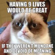 Grumpy+cat+dump+_3772407cef9a830af9c8d42dc699db1b